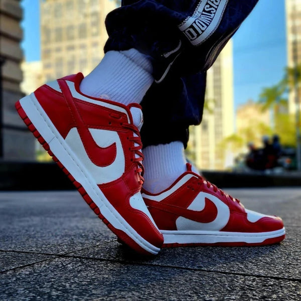 Tênis Nike Dunk SB Branco e Vermelho